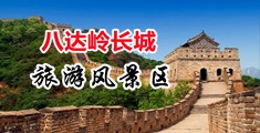 男的女的在床上吊逼的软件中国北京-八达岭长城旅游风景区