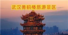 逼逼视频日女人