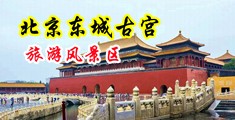 啊啊啊啊大鸡巴好舒服啊啊啊啊视频中国北京-东城古宫旅游风景区